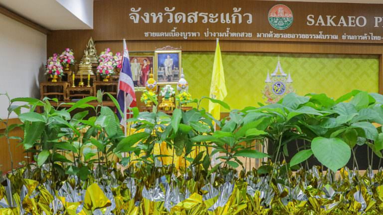 ร่วมพิธีมอบกล้าไม้ โครงการ 72 ล้านต้น พลิกฟื้นผืนป่าเฉลิมพระเกียรติพระบาทสมเด็จพระเจ้าอยู่หัว เนื่องในโอกาสพระราชพิธีมหามงคลเฉลิมพระชนมพรรษา 6 รอบ 28 กรกฎาคม 2567