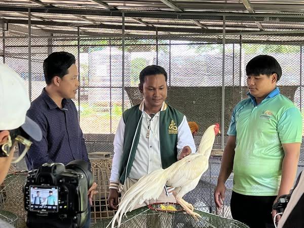 บันทึกเทปถ่ายทำรายการ“เมืองไทยเมืองเกษตร” ช่อง 11 NBT กรมประชาสัมพันธ์ เผยแพร่องค์ความรู้ “ไก่พื้นเมือง” สู่ประชาชน ณ ศูนย์การเรียนรู้ศาสตร์พระราชา มรวอ.สระแก้ว