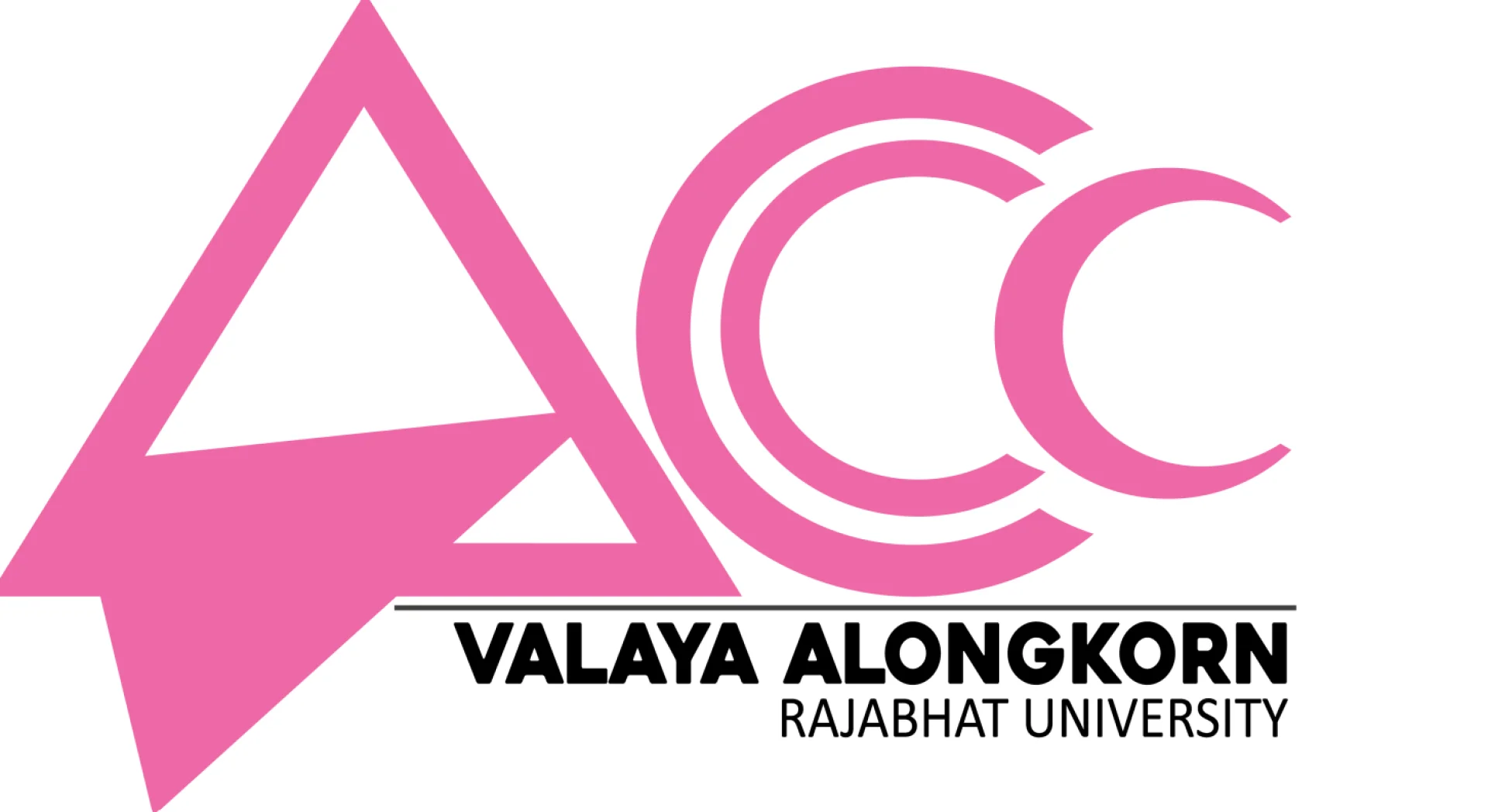 หลักสูตรบัญชีบัณฑิต สาขาวิชาการบัญชี